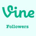 vine-followers